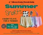 TADS - Tullamore Tribune Advert - SUMMER SHORTS - PROOF