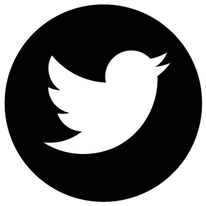 twitter social media icon